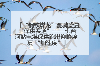 “钢铁煤龙”驰骋盛夏 “保供赛道”——七台河站电煤保供跑出迎峰度夏 “加速度”