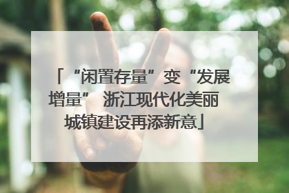 “闲置存量”变“发展增量” 浙江现代化美丽城镇建设再添新意