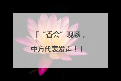 “香会”现场，中方代表发声！