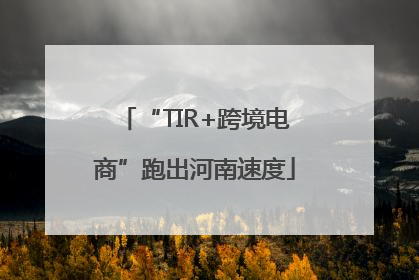 “TIR+跨境电商”跑出河南速度