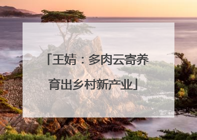 王婧：多肉云寄养 育出乡村新产业
