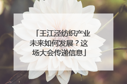 王江泾纺织产业未来如何发展？这场大会传递信息