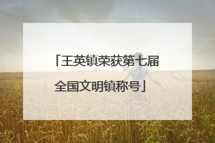 王英镇荣获第七届全国文明镇称号