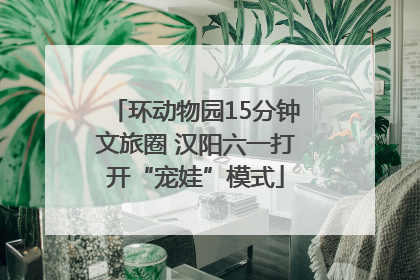环动物园15分钟文旅圈 汉阳六一打开“宠娃”模式