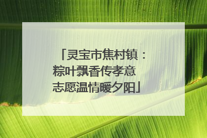 灵宝市焦村镇：粽叶飘香传孝意 志愿温情暖夕阳