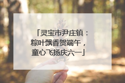 灵宝市尹庄镇：粽叶飘香贺端午，童心飞扬庆六一