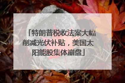 特朗普税收法案大幅削减光伏补贴，美国太阳能股集体崩盘