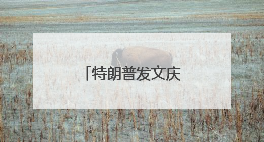 特朗普发文庆祝：“大胜”
