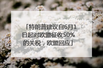 特朗普建议自6月1日起对欧盟征收50%的关税，欧盟回应