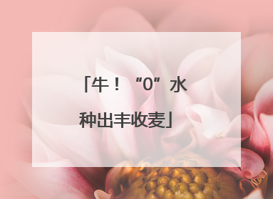 牛！“0”水种出丰收麦