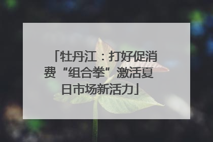 牡丹江：打好促消费“组合拳”激活夏日市场新活力