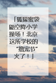 狐獴蜜袋鼯空降小学操场！北京这所学校的“撸宠节”火了！