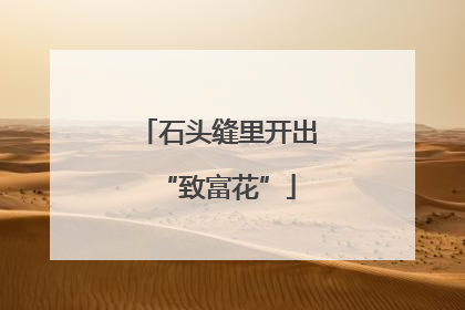 石头缝里开出“致富花”