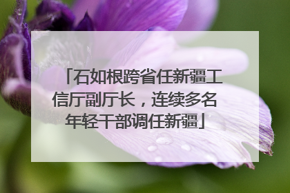 石如根跨省任新疆工信厅副厅长，连续多名年轻干部调任新疆