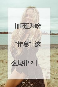 睡莲为啥“作息”这么规律？