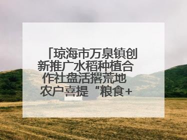 琼海市万泉镇创新推广水稻种植合作社盘活撂荒地 农户喜提“粮食+钞票”分红