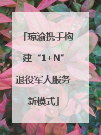 琼渝携手构建“1+N”退役军人服务新模式