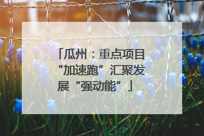瓜州：重点项目“加速跑”汇聚发展“强动能”