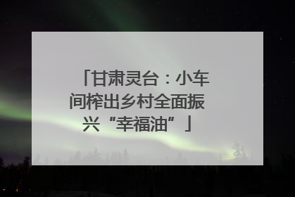 甘肃灵台：小车间榨出乡村全面振兴“幸福油”