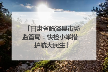 甘肃省临泽县市场监管局：快检小举措 护航大民生