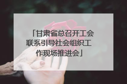 甘肃省总召开工会联系引导社会组织工作现场推进会