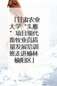 甘肃农业大学“头雁”项目现代畜牧业高质量发展培训班走进榆林榆阳区