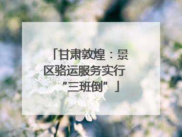 甘肃敦煌：景区骆运服务实行“三班倒”