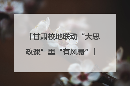 甘肃校地联动“大思政课”里“有风景”
