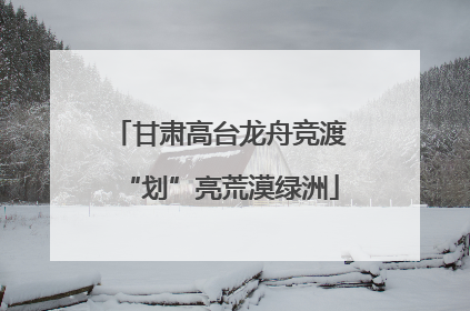 甘肃高台龙舟竞渡“划”亮荒漠绿洲