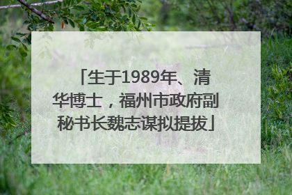生于1989年、清华博士，福州市政府副秘书长魏志谋拟提拔