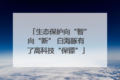 生态保护向“智”向“新” 白海豚有了高科技“保镖”