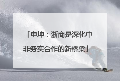 申坤：浙商是深化中非务实合作的新桥梁