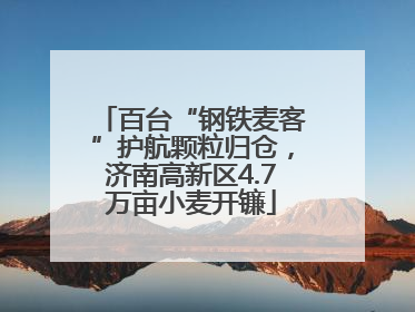 百台“钢铁麦客”护航颗粒归仓，济南高新区4.7万亩小麦开镰