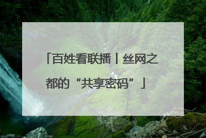百姓看联播丨丝网之都的“共享密码”