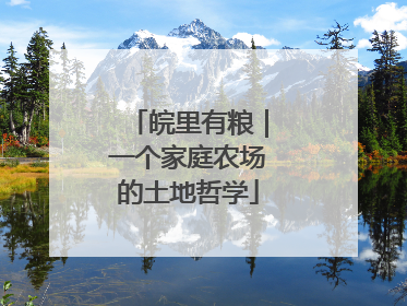皖里有粮｜一个家庭农场的土地哲学