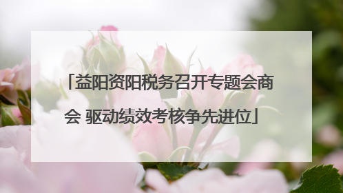 益阳资阳税务召开专题会商会 驱动绩效考核争先进位