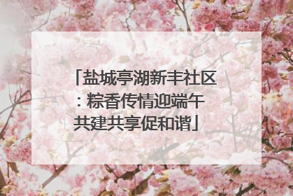 盐城亭湖新丰社区：粽香传情迎端午 共建共享促和谐