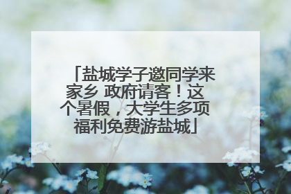盐城学子邀同学来家乡 政府请客！这个暑假，大学生多项福利免费游盐城