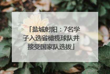 盐城射阳：7名学子入选省橄榄球队并接受国家队选拔