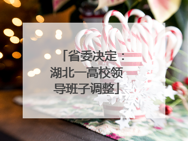 省委决定：湖北一高校领导班子调整