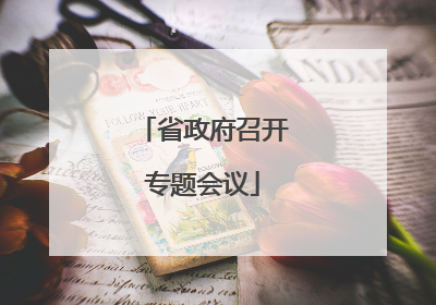 省政府召开专题会议