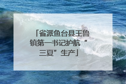 省派鱼台县王鲁镇第一书记护航“三夏”生产