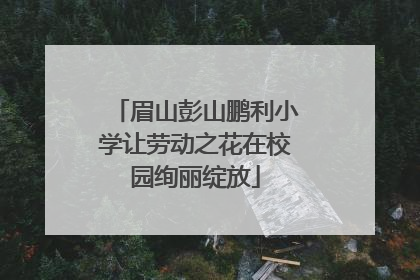 眉山彭山鹏利小学让劳动之花在校园绚丽绽放