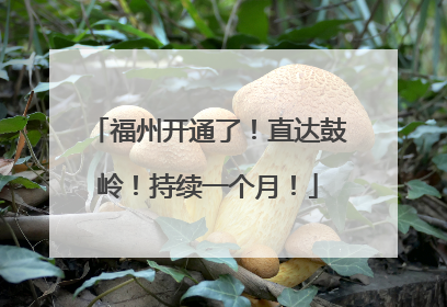 福州开通了！直达鼓岭！持续一个月！
