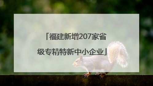 福建新增207家省级专精特新中小企业