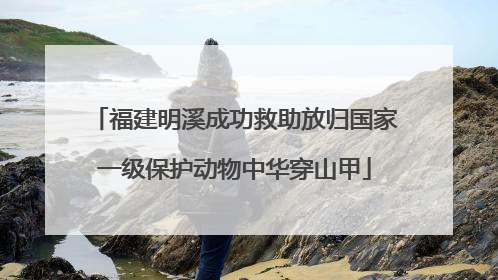 福建明溪成功救助放归国家一级保护动物中华穿山甲