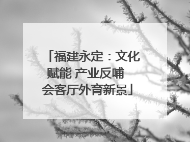 福建永定：文化赋能 产业反哺 会客厅外育新景