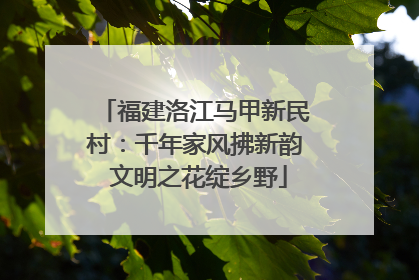 福建洛江马甲新民村：千年家风拂新韵 文明之花绽乡野