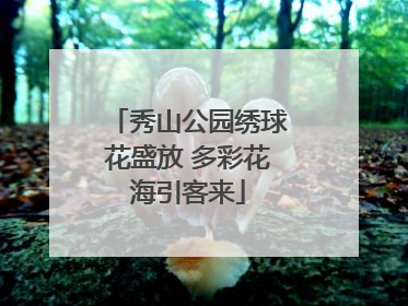 秀山公园绣球花盛放 多彩花海引客来