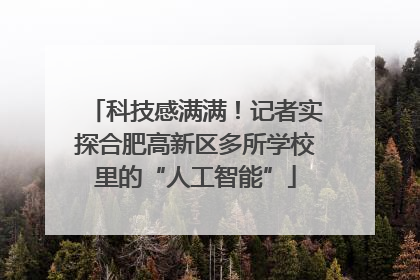 科技感满满！记者实探合肥高新区多所学校里的“人工智能”